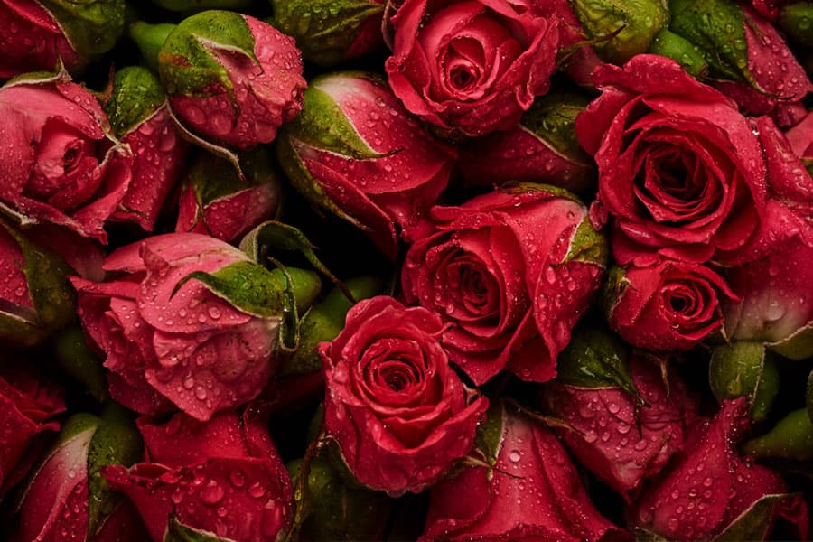 Flores boda en Ferrol